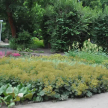 Habitación en casa particular Pod Starymi Lipami *