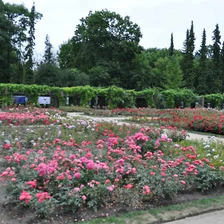 Habitación en casa particular Pod Starymi Lipami