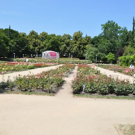 Habitación en casa particular Pod Starymi Lipami Szczecin