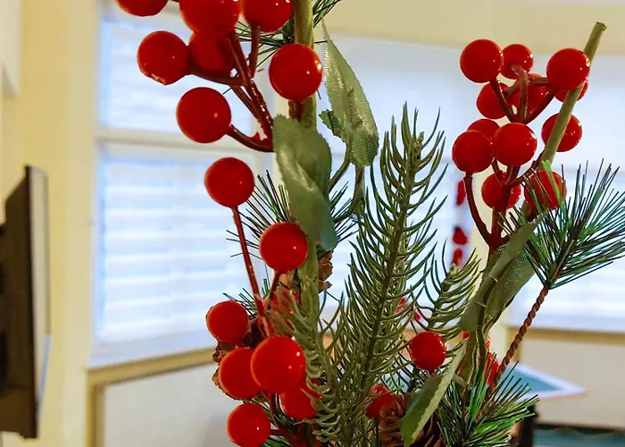 Homestay Pod Starymi Lipami Szczecin