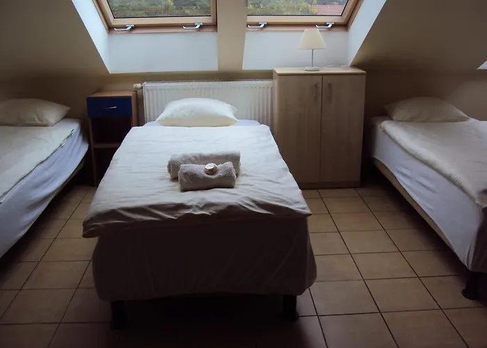 Pod Starymi Lipami Homestay *