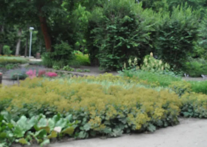 Homestay Pod Starymi Lipami *