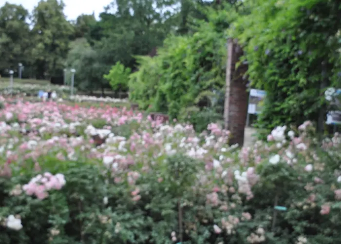 Pod Starymi Lipami Privat bolig