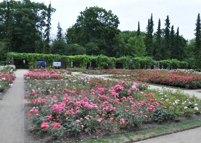 Privat bolig Pod Starymi Lipami