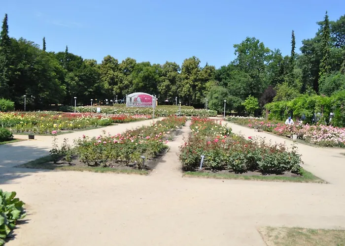 Séjour chez l'habitant Pod Starymi Lipami Szczecin