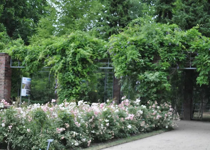 Pod Starymi Lipami *