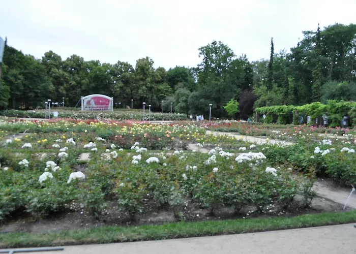 Homestay Pod Starymi Lipami Szczecin